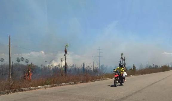 Incêndio consome vegetação seca na estrada da Pedra do Sal em Parnaíba.