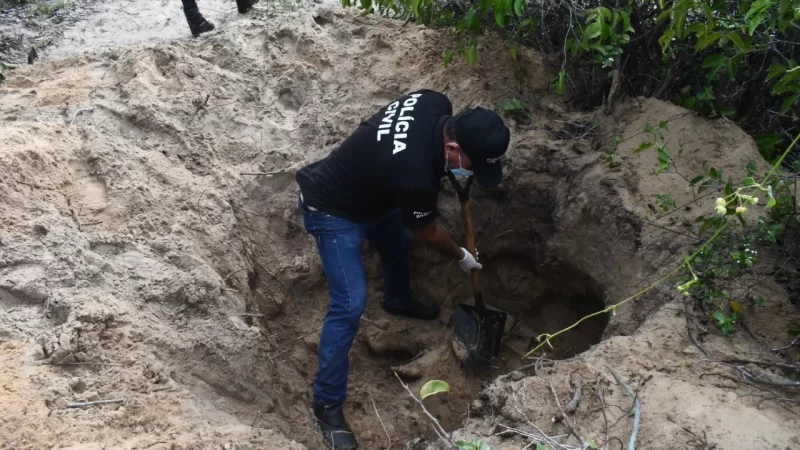 Policiais encontram possível cemitério clandestino em área de mata de Ilha Grande.