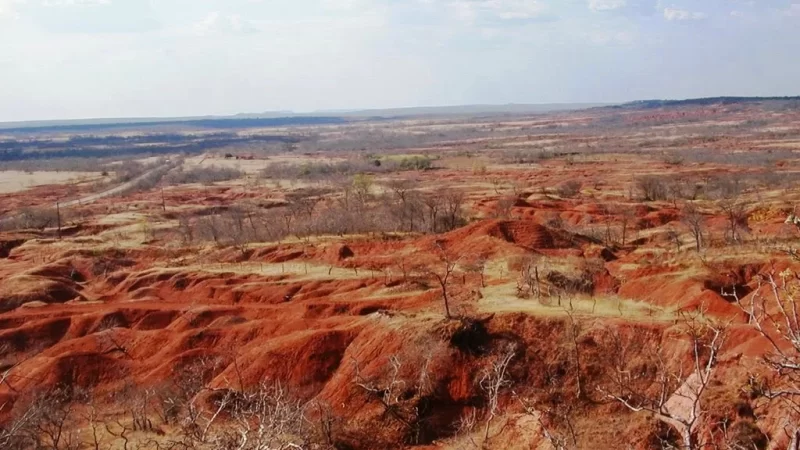 Professor da UESPI contesta afirmação de que o solo em Gilbués é de deserto.