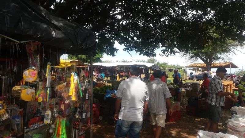 Feira Agropecuária de Luiz Correia será de 21 a 24 de setembro no Brejinho.