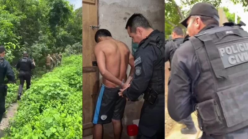 Polícia faz operação contra tráfico e crime organizado e cumpre 14 mandados no Norte do Piauí