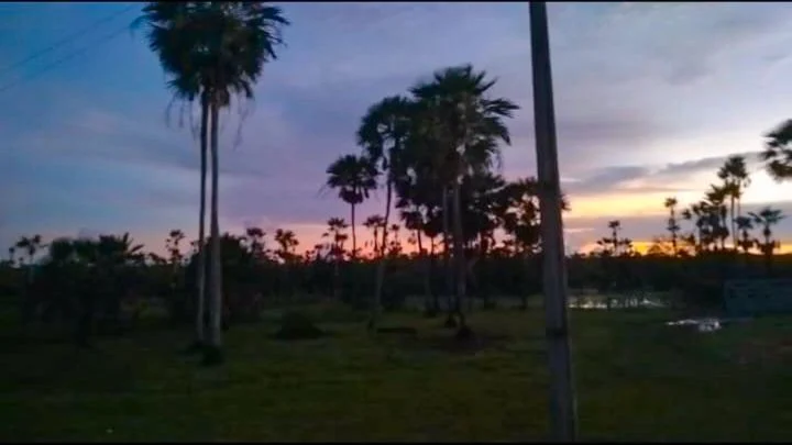 Um Sábado de Aleluia no sertão