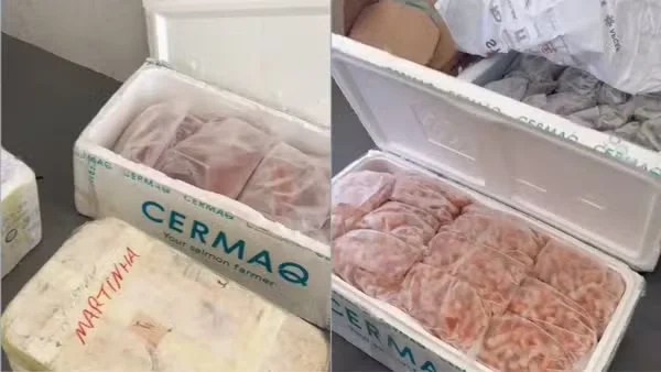 PRF apreende 650 kg de alimentos perecíveis sem documentação na BR-343, em Parnaíba