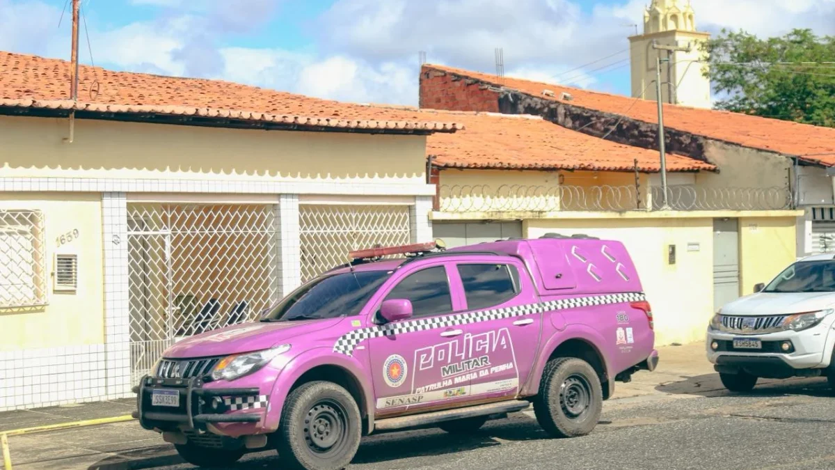 Central de Flagrantes registra nove prisões por violência doméstica no litoral do Piauí