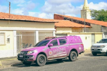 Registro sobre prisões por violência doméstica atendidas pela Central de Flagrantes no litoral do Piauí