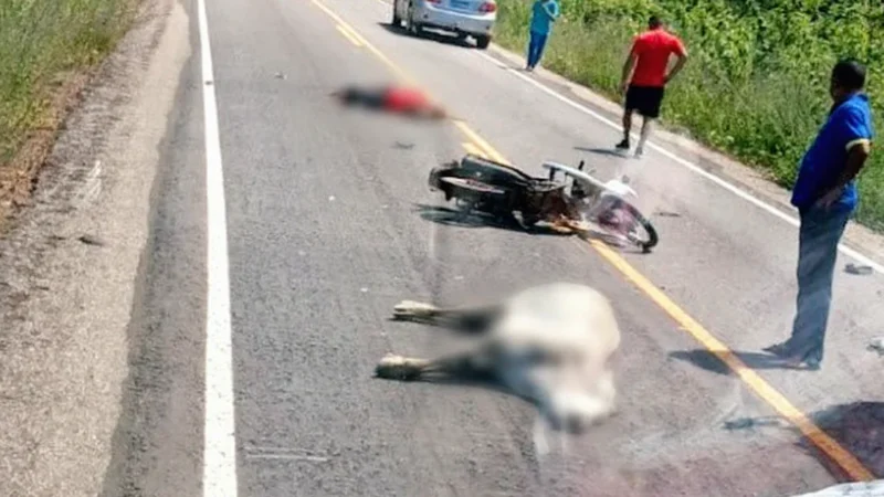 Motociclista sofre ferimentos gravíssimos após bater em vaca solta na PI-211, em Buriti dos Lopes
