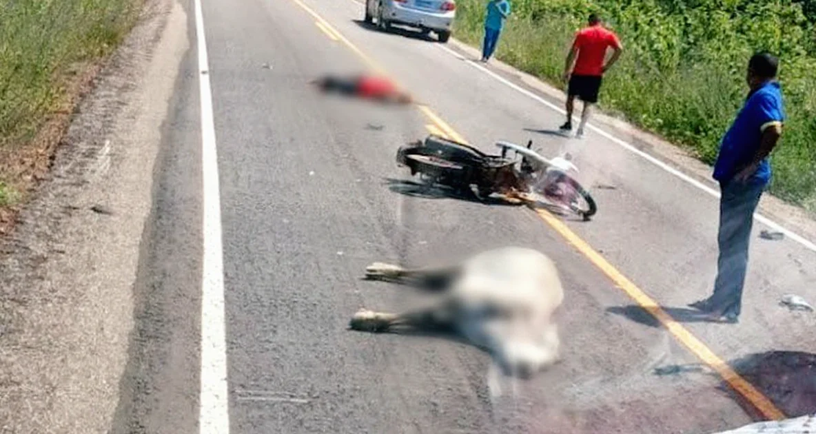 Motocicleta após colisão com vaca na PI-211, em Buriti dos Lopes