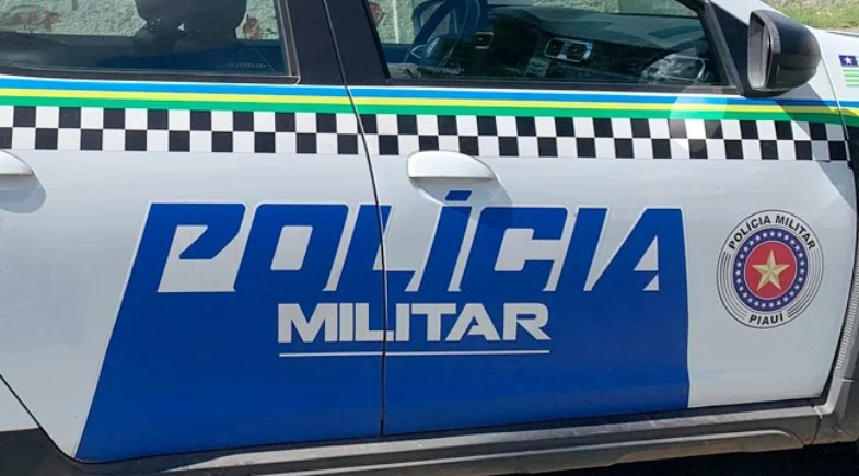 Motociclista morre após bater em animal na pista em Colônia do Piauí